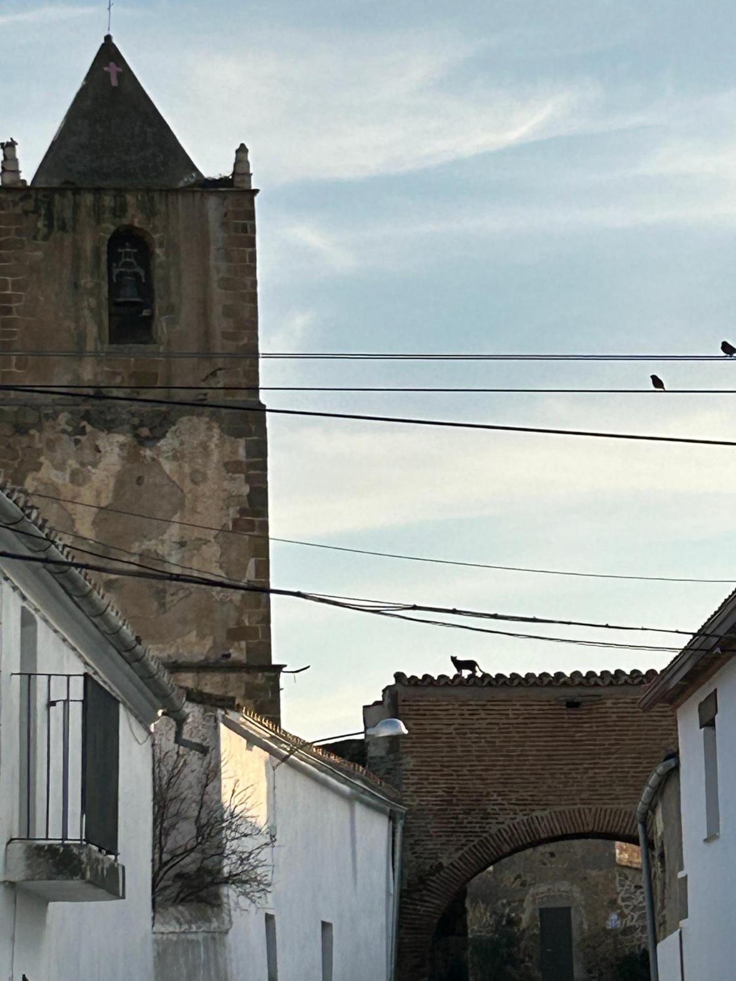 Casa Rural La Manzanilla Salvatierra de Santiago Zewnętrze zdjęcie