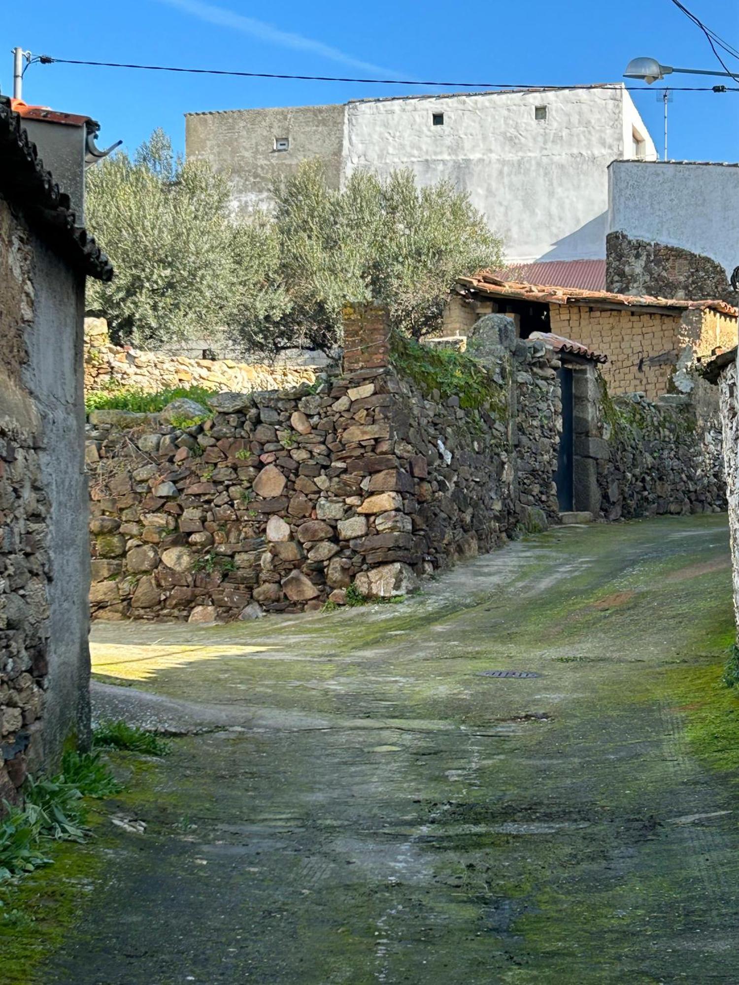 Casa Rural La Manzanilla Salvatierra de Santiago Zewnętrze zdjęcie